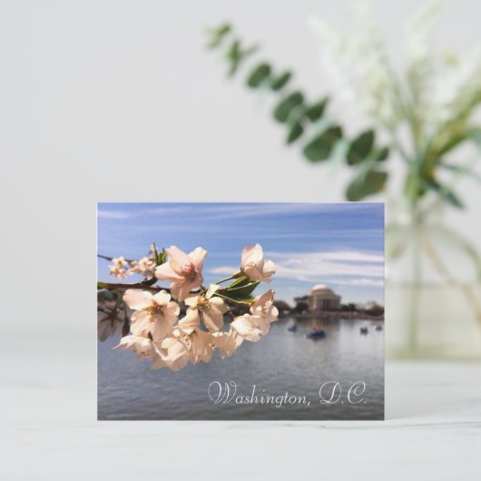 Activiteiten in de omgeving van Washington D.C. Ch Briefkaart (Staand voorkant)