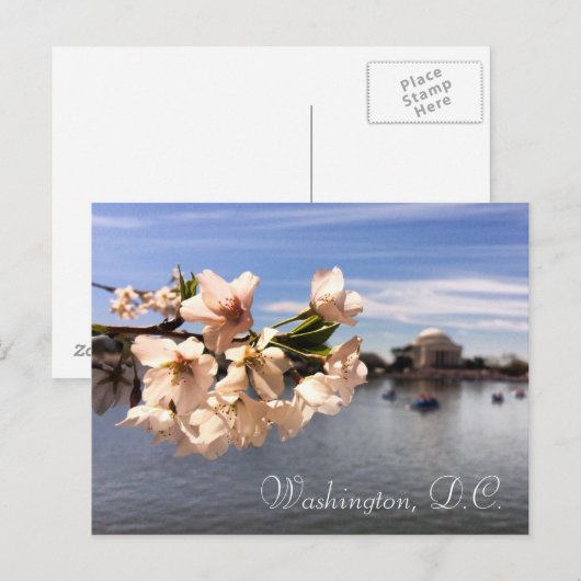 Activiteiten in de omgeving van Washington D.C. Ch Briefkaart (Voorkant / Achterkant)