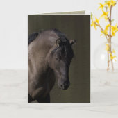 Activiteiten in de omgeving van Waterhole Wild Hor Kaart (Gele Bloem)