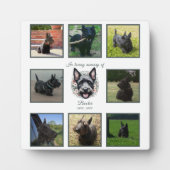 Activiteiten in de omgeving van waterverf Scottie  Fotoplaat (Voorkant)