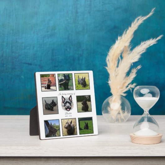 Activiteiten in de omgeving van waterverf Scottie  Fotoplaat (Insitu)