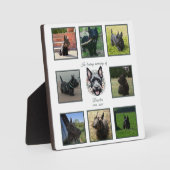 Activiteiten in de omgeving van waterverf Scottie  Fotoplaat (Voorkant)