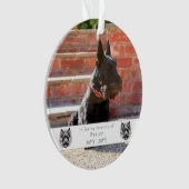 Activiteiten in de omgeving van waterverf Scottie Ornament (voorkant)