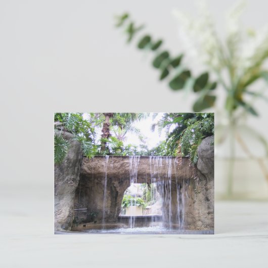 Activiteiten in de omgeving van West Palm Beach Wa Briefkaart (Staand voorkant)