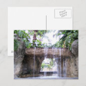 Activiteiten in de omgeving van West Palm Beach Wa Briefkaart (Voorkant / Achterkant)