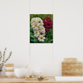 Activiteiten in de omgeving van White and Red Flow Poster (Keuken)