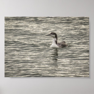 Activiteiten in de omgeving van Winter Loon Conesu Poster