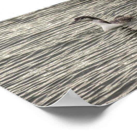 Activiteiten in de omgeving van Winter Loon Conesu Poster (Hoek)