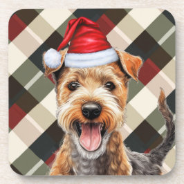 Activiteiten in de omgeving van Winter Theme Lakel Bier Onderzetter