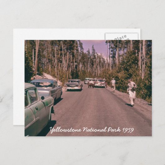 Activiteiten in de omgeving van Yellowstone Nation Briefkaart (Voorkant / Achterkant)