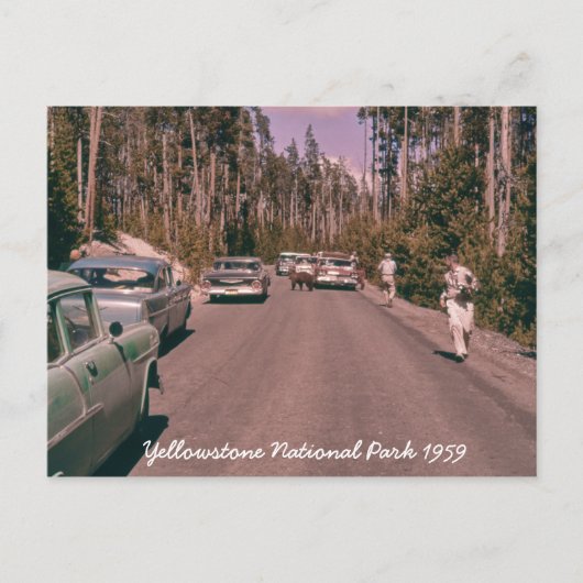 Activiteiten in de omgeving van Yellowstone Nation Briefkaart (Voorkant)