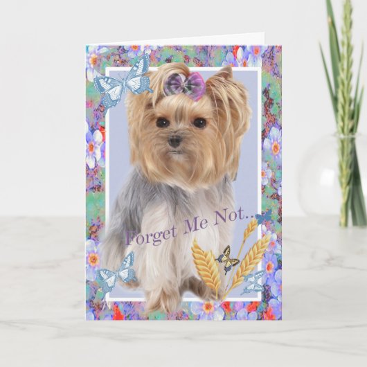 Activiteiten in de omgeving van Yorkie Forget Me N Kaart (Voorkant)