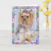 Activiteiten in de omgeving van Yorkie Forget Me N Kaart (Gele Bloem)