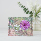 Activiteiten in de omgeving van Yorktown Onion Bri Briefkaart (Staand voorkant)