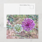 Activiteiten in de omgeving van Yorktown Onion Bri Briefkaart (Voorkant / Achterkant)