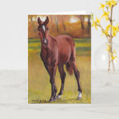 Activiteiten in de omgeving van "Young One" Horse Kaart (Gele Bloem)