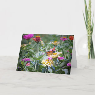 Activiteiten in de omgeving van Zinnia Smorgasbord Bedankkaart