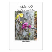 Actrice Laura Guillen aka Ishah Kaart (Achterkant)