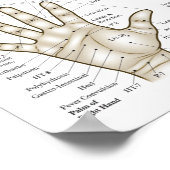 Acupressure Points Face Hand Feet Poster (Hoek)