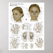 Acupressure Points Face Hand Feet Poster (Voorkant)