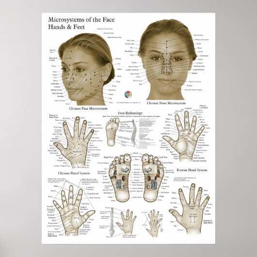 Acupressure Points Face Hand Feet Poster (Voorkant)