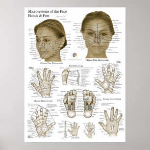 Acupressuurpunten Gezicht Hand Voeten Poster
