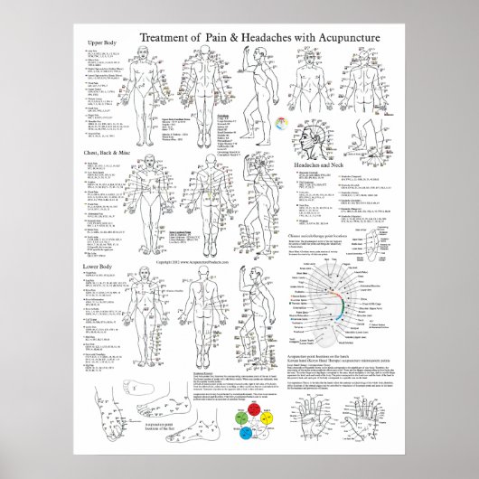 Acupunctie Behandeling van pijn en hoofdpijn Poster (Voorkant)