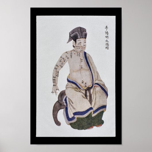 Acupunctie Grote darmzand Meridiaan Handschuim Poster (Voorkant)