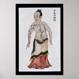 Acupunctie Lung Meridian Hand Taiyin Poster