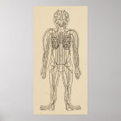  Acupunctie Meridian Pathways Points Poster (Voorkant)