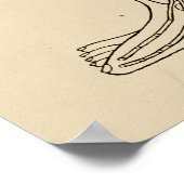  Acupunctie Meridian Pathways Points Poster (Hoek)