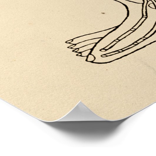  Acupunctie Meridian Pathways Points Poster (Hoek)