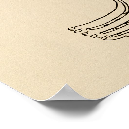 Acupunctie Meridian Pathways Points Poster (Hoek)