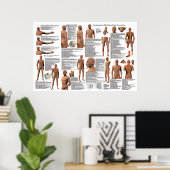 Acupunctie Meridian Point Locations Poster (Thuiskantoor)