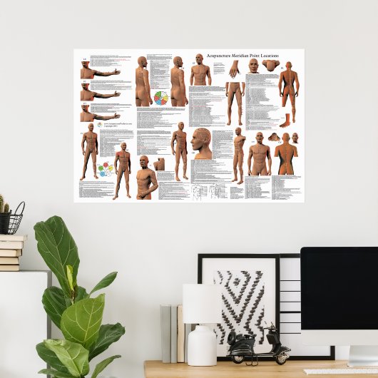 Acupunctie Meridian Point Locations Poster (Thuiskantoor)