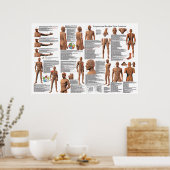 Acupunctie Meridian Point Locations Poster (Keuken)