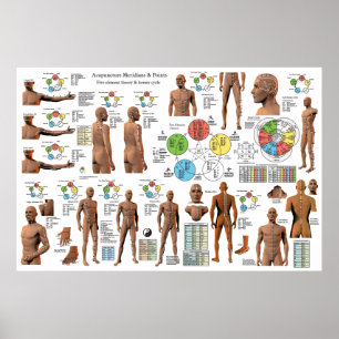 Acupunctie Meridian Point Locations Poster