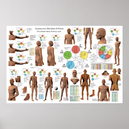 Acupunctie Meridian Point Locations Poster (Voorkant)