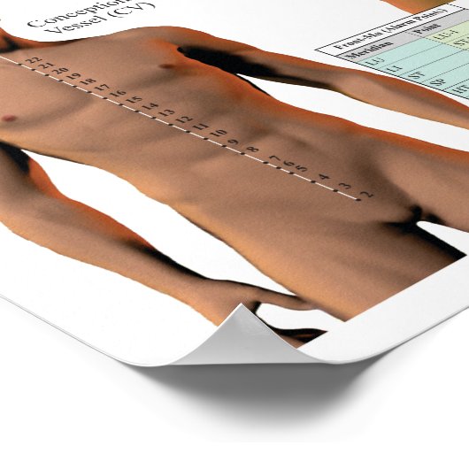 Acupunctie Meridian Points en Pathways Poster (Hoek)