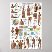 Acupunctie Meridian Points en Pathways Poster (Voorkant)