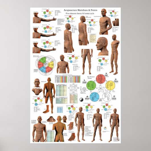 Acupunctie Meridian Points en Pathways Poster (Voorkant)