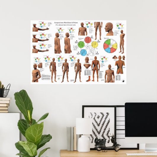 Acupunctie Meridian Points en Pathways Poster (Thuiskantoor)