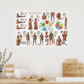 Acupunctie Meridian Points en Pathways Poster (Keuken)
