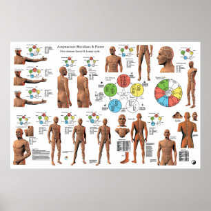 Acupunctie Meridian Points en Pathways Poster
