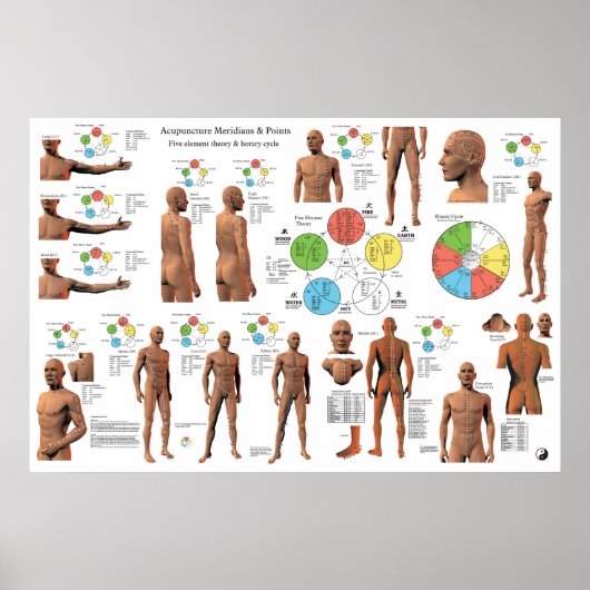 Acupunctie Meridian Points en Pathways Poster (Voorkant)