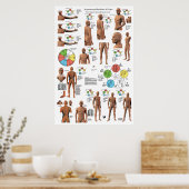 Acupunctie Meridian Points en Pathways Poster (Keuken)