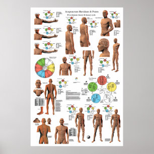 Acupunctie Meridian Points en Pathways Poster