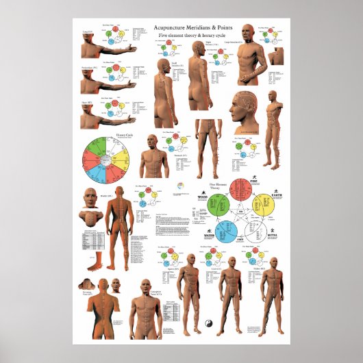 Acupunctie Meridian Points en Pathways Poster (Voorkant)