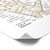 Acupunctie Microsystem points Poster (Hoek)