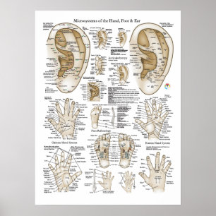Acupunctie Microsystem points Poster